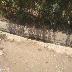 WhatsApp Image 2025-04-27 at 5.28.49 PM